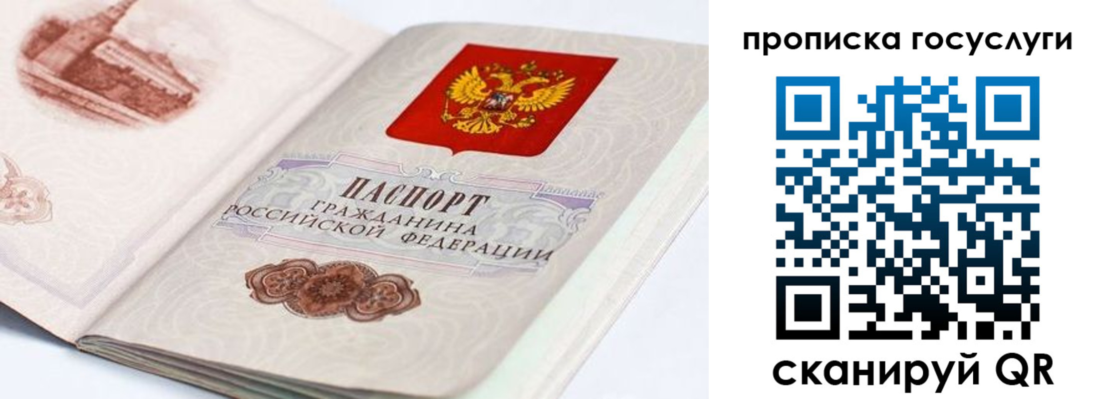 прописка гарантия в Переславль-Залесском